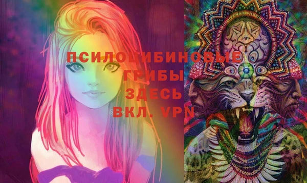 jwh Аркадак